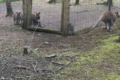 IMG-20250612-WA0025
