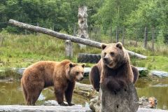 IMG-20250612-WA0029