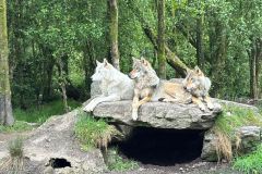 IMG-20250612-WA0030